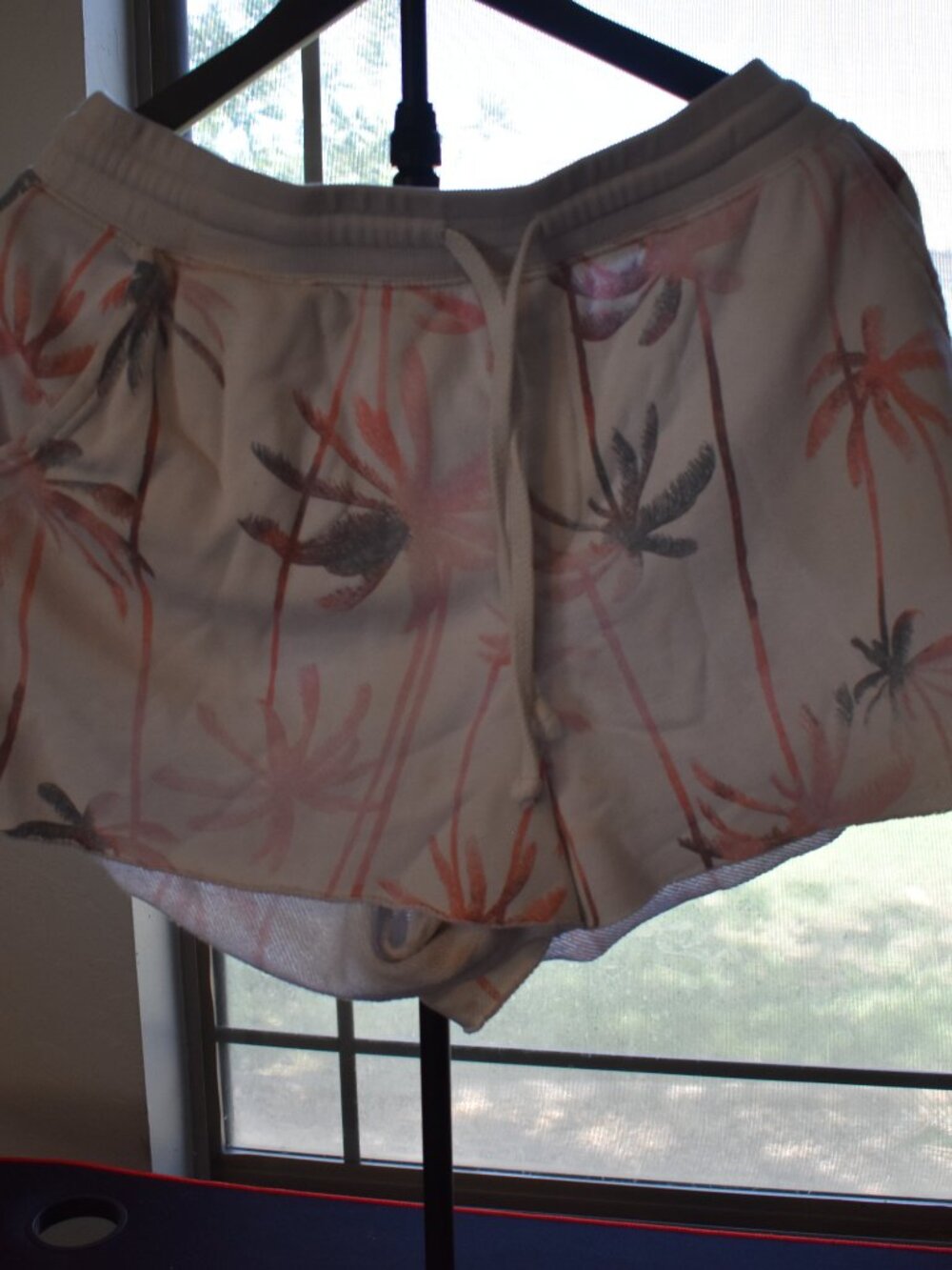 Secret Treasures Shorts size large